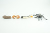 Mosquito Life Cycle, 4 Piece Set, Hand Painted, Educational, High Quality Rubber Insect, Realistic, Diorama, Figure, Toys, Kids, Gift,  3  Inches.   CH983 BB214