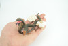 Cobra Snake Life Cycle, 4 Piece Set, Hand Painted, Educational, High Quality Rubber Reptile, Realistic, Diorama, Figure, Toys, Kids, Gift, 6 Inches. CH986 BB214