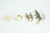 Alligator Life Cycle, 4 Piece Set, Hand Painted, Educational, High Quality Rubber Reptile, Realistic, Diorama, Figure, Toys, Kids, Gift, 4 Inches. CH988 BB214