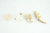 Alligator Life Cycle, 4 Piece Set, Hand Painted, Educational, High Quality Rubber Reptile, Realistic, Diorama, Figure, Toys, Kids, Gift,  4  Inches.   CH988 BB214
