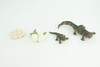 Crocodile Life Cycle, 4 Piece Set, Hand Painted, Educational, High Quality Rubber Reptile, Realistic, Diorama, Figure, Toys, Kids, Gift,  4 1/2  Inches.   CH989 BB215