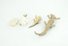 Crocodile Life Cycle, 4 Piece Set, Hand Painted, Educational, High Quality Rubber Reptile, Realistic, Diorama, Figure, Toys, Kids, Gift,  4 1/2  Inches.   CH989 BB215