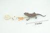 Bearded Dragon Life Cycle, 4 Piece Set, Hand Painted, Educational, High Quality Rubber Reptile, Realistic Lizard, Diorama, Figure, Toys, Kids, Gift, 5 Inches. CH991 BB215
