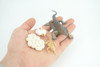 Bearded Dragon Life Cycle, 4 Piece Set, Hand Painted, Educational, High Quality Rubber Reptile, Realistic Lizard, Diorama, Figure, Toys, Kids, Gift, 5 Inches. CH991 BB215