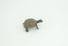 Galapagos Giant Tortoise Life Cycle, 4 Piece Set, Hand Painted, Educational, High Quality Rubber Reptile, Diorama, Figure, Toys, Kids, Gift,  3  Inches.   CH992 BB215 