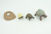 Galapagos Giant Tortoise Life Cycle, 4 Piece Set, Hand Painted, Educational, High Quality Rubber Reptile, Diorama, Figure, Toys, Kids, Gift,  3  Inches.   CH992 BB215 