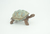 Galapagos Giant Tortoise Life Cycle, 4 Piece Set, Hand Painted, Educational, High Quality Rubber Reptile, Diorama, Figure, Toys, Kids, Gift,  3  Inches.   CH992 BB215 