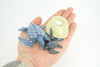 Leatherback Turtle Life Cycle, 4 Piece Set, Hand Painted, Educational, High Quality Rubber Reptile, Sea Turtle, Diorama, Figure, Toys, Kids, Gift, 3 Inches. CH993 BB215