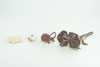 Frilled Lizard Life Cycle, 4 Piece Set, Hand Painted, Educational, High Quality Rubber Reptile, Realistic Lizard, Diorama, Figure, Toys, Kids, Gift,  6  Inches.   CH997 BB215