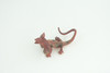 Frilled Lizard Life Cycle, 4 Piece Set, Hand Painted, Educational, High Quality Rubber Reptile, Realistic Lizard, Diorama, Figure, Toys, Kids, Gift,  6  Inches.   CH997 BB215