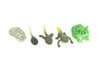 Horned Frog Life Cycle, 5 Piece Set, Hand Painted, Educational, High Quality Rubber Amphibian, Realistic Frog, Diorama, Figure, Toys, Kids, Gift, 2 Inches. CH999 BB215