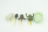 Horned Frog Life Cycle, 5 Piece Set, Hand Painted, Educational, High Quality Rubber Amphibian, Realistic Frog, Diorama, Figure, Toys, Kids, Gift,  2  Inches. CH999 BB215