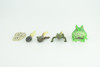 Horned Frog Life Cycle, 5 Piece Set, Hand Painted, Educational, High Quality Rubber Amphibian, Realistic Frog, Diorama, Figure, Toys, Kids, Gift,  2  Inches. CH999 BB215