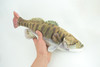 Smallmouth Bass, Realistic Stuffed Plush Fish, Bronzeback, Brown bass, Smallie, Bronze Bass, Small Mouth, Educational, Toy, Kids, Gift, 17 Inches. CC200 BB55
