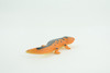 Eastern Orange Newt, Lizard, Rubber Reptile, Hand Painted, Educational, Realistic, Model, Replica, Toys, Kids, Gift,   2 1/2 Inches.    WR38 B197