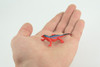 Red Head Agama, Rainbow Lizard, Rubber Reptile, Hand Painted, Educational, Realistic, Model, Replica, Toys, Kids, Gift, 2 1/2 Inches. WR41 B197 