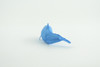 Dolphin, Blue Dolphin Cichlid, Marine Mammal, Educational, Realistic, Diorama, Models, Replica, Toys, Kids, Gift,   2 Inches.    CWG52 B197