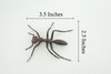 Ant, Carpenter Ant, Rubber Insect, High Quality, Hand Painted, Realistic, Figure, Diorama Model, Replica, Toy, Kids, Educational, Gift, 3 1/2 Inches CWG215 B37