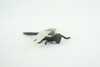 Dragonfly, Black with White Wings, Rubber Insect, High Quality, Hand Painted, Realistic, Diorama Model, Toy, Kids, Educational, Gift,    2 1/2 Inches   CWG219 B74