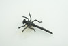 Dragonfly, Black with White Wings, Rubber Insect, High Quality, Hand Painted, Realistic, Diorama Model, Toy, Kids, Educational, Gift,    2 1/2 Inches   CWG219 B74