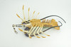 Lobster, Pacific, Australian, Crustaceans, Hand Painted, Museum Quality, Rubber, Realistic, Toy, Kids, Diorama, Model, Educational, Gift,   12 Inches.  CH1001 BB219   
