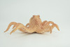 Octopus, Octopodes, Octopoda, Octopi, Ocean, Hand Painted, Rubber Realistic Toy Figure, Diorama, Model, Replica, Kids, Educational, Gift,   6 Inches.   CH1007 BB220