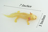 Axolotl, Gold Morph Color, Albino, Rubber Salamander, Museum Quality, Educational, Hand Painted, Realistic Amphibian, Diorama, Toy, Kids, Gift, 7 Inches Long. CH1022 BB217
