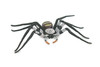 Huntsman Spider, Heteropoda maxima, Hand Painted, Hard Rubber, High Quality, Realistic Insect, Diorama Model, Toy, Kids, Educational, Gift, 5 Inches Wide. CH1024 BB218