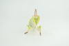 Orchid Mantis, Yellow Flower Praying Mantis, Museum Quality, Educational, Hand Painted, Realistic Rubber Insect, Model, Toy, Kids, Gift,    2 1/2 Inches.   CH1027 BB218