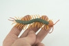 Centipede, Arthropods, Florida, Hand Painted, Museum Quality, Hard Rubber, Realistic Insect, Diorama Model, Toy, Kids, Educational, Gift, 4 1/2 Inches Long. CH1029 BB218