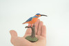 Kingfisher, Common King Fisher, Museum Quality, Educational, Hand Painted, Rubber Bird, Diorama Model, Realistic, Toys, Kids, Gift, 4 Inches. CH1039 BB217