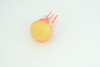 Jellyfish, Orange, Common, Sea jellies, Subphylum Medusozoa, Very Nice Rubber Design, Educational, Hand Painted, Diorama Model, Realistic, Toys, Kids, Gift,  3 Inches.  CH1043 BB216