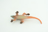 Iguana, Marine iguana, Lizard, Museum Quality, Hand Painted, Hard Rubber Reptile, Educational, Toy Figure, Diorama Model, Replica, Kids, Gift,   4 Inches.      CH1056 BB218