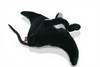 Manta Ray, Giant sea devil, Fish, Very High Quality, Stuffed, Educational, Plush Realistic Figure, Lifelike Model, Replica, Toys, Kids, Gift, 24 Inches. RI06 BB328