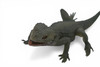 Spiny Lizard, Grey, Hand Painted, Educational, Museum Quality, Realistic, Rubber, Reptile, Lizard, Diorama Model, Figure, Toys, Kids, Gift, 12 Inches. IM31 B659