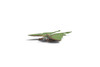 Luna Moth, Actias luna, Museum Quality, Hand Painted, Hard Rubber Insect, Educational, Toy Figure, Diorama Model, Replica, Kids, Gift,   4 Inches.  CH1059 BB221