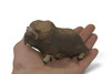 Musk Ox, Ovibos moschatus, Arctic mammal, Museum Quality, Hand Painted, Rubber Animal, Educational, Toy Figure, Diorama Model, Replica, Gift,  5 Inches.  CH1079 BB222