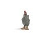 Chicken, Dominique Breed, Museum Quality, Educational, Hand Painted, Realistic, Rubber Bird, Figure, Diorama Model, Toy, Kids,  Gift,       2 Inches.    CH1083 BB223