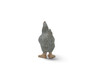 Chicken, Dominique Breed, Museum Quality, Educational, Hand Painted, Realistic, Rubber Bird, Figure, Diorama Model, Toy, Kids,  Gift,       2 Inches.    CH1083 BB223