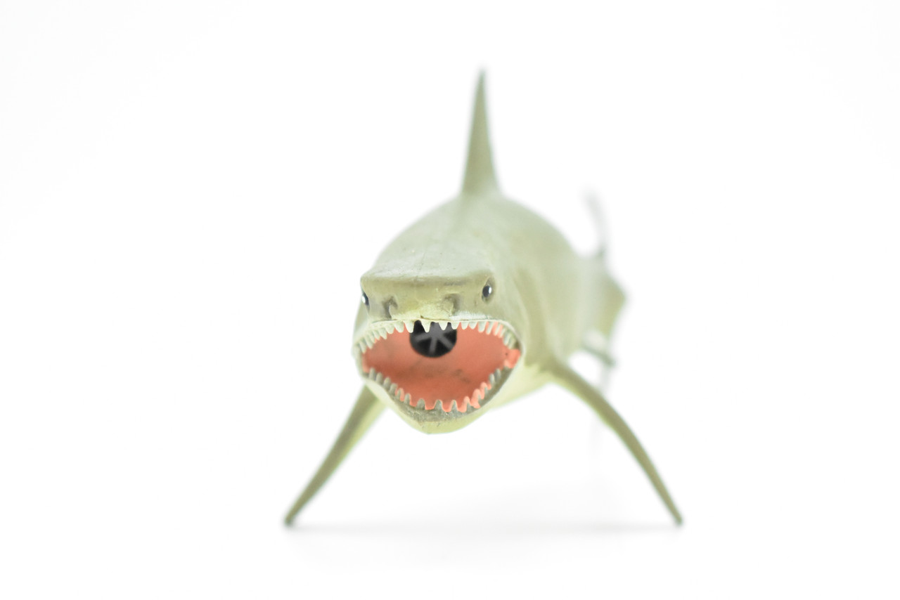 Great White Shark, Squeaks, Very Nice Design, Hand Painted, Rubber, Educational, Diorama Model, Realistic Figure, Figurine, Replica,  6 Inches. 