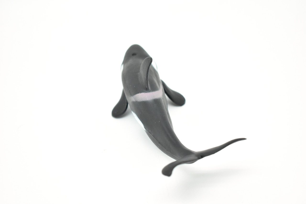 Orca, Killer Whale, Very Nice Rubber Replica  6" -  F472 B4