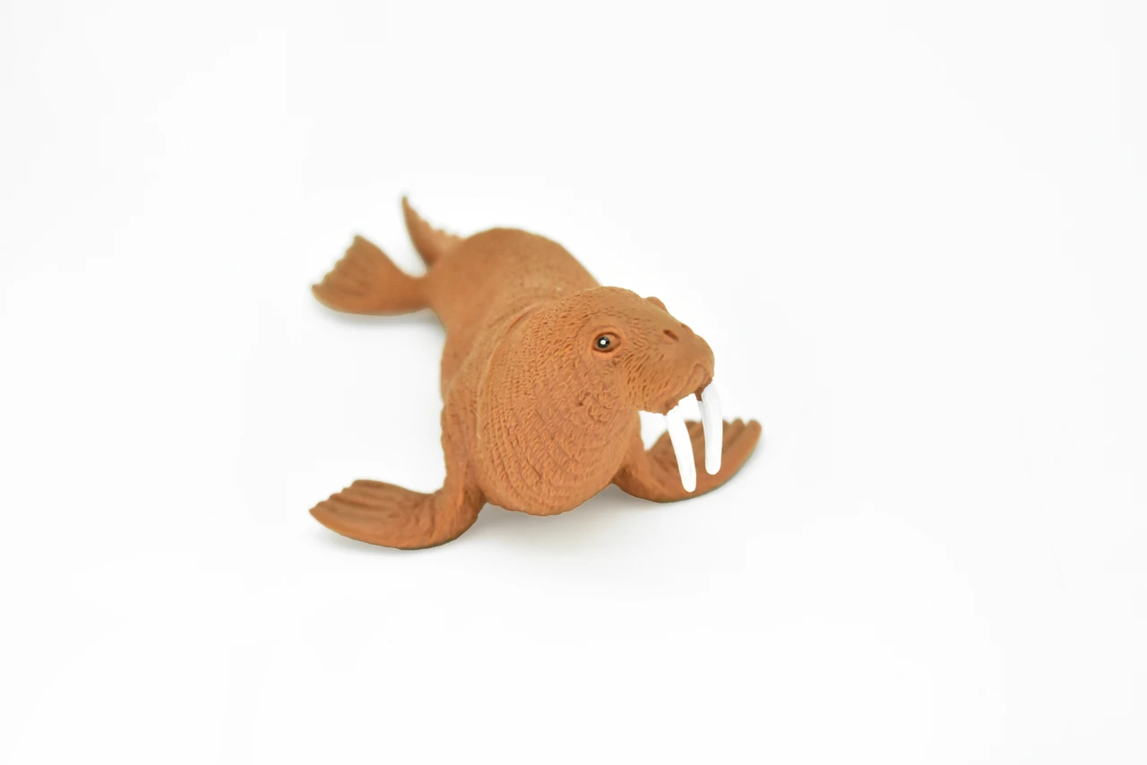 Walrus, Marine Mamma, Very Nice Design, Hand Painted, Rubber Animal, Educational, Diorama Model, Realistic Figure, Figurine, Replica, Toy, Kids, 5 Inches. 