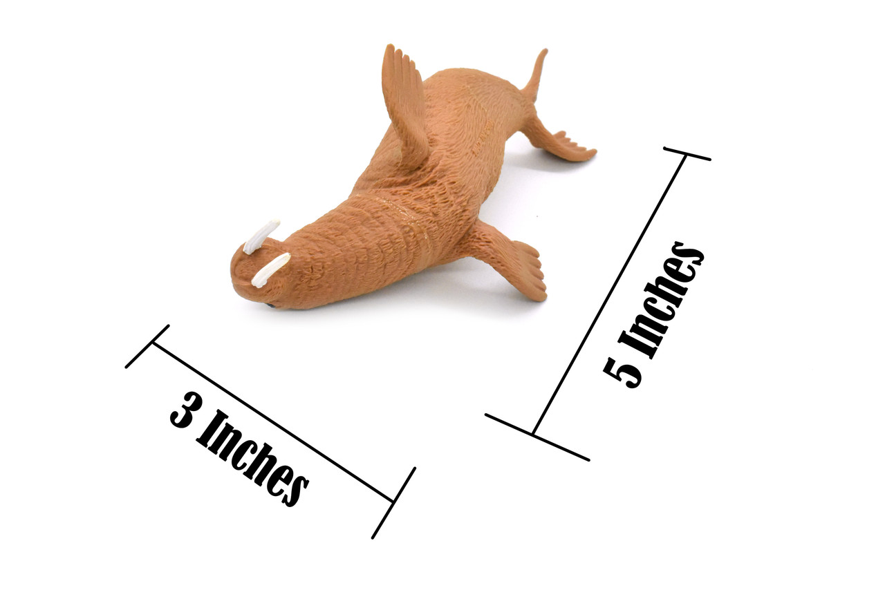 Walrus, Marine Mamma, Very Nice Design, Hand Painted, Rubber Animal, Educational, Diorama Model, Realistic Figure, Figurine, Replica, Toy, Kids, 5 Inches. 