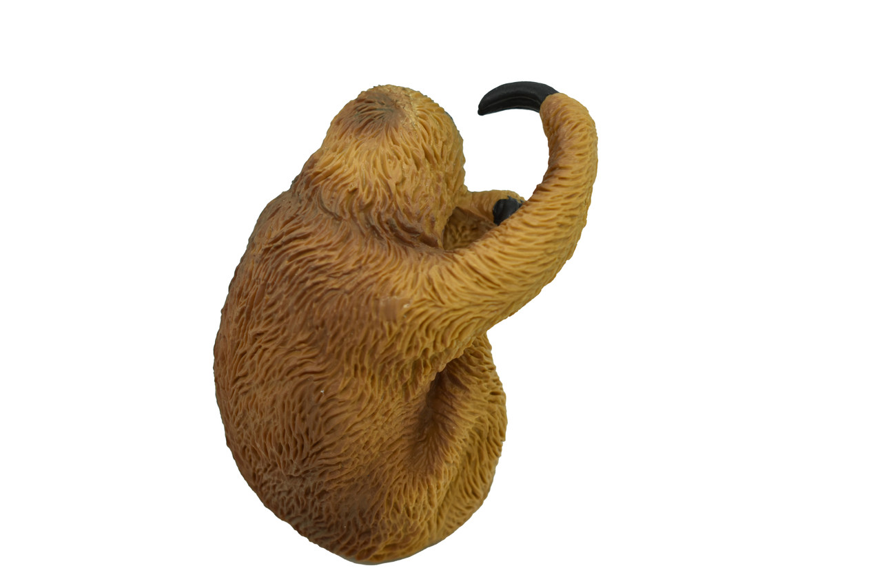 Sloth Three-toed, Bradypus, Very Nice Design, Hand Painted, Rubber Animal, Educational, Diorama Model, Realistic Figure, Figurine, Gift,  3 Inches. 