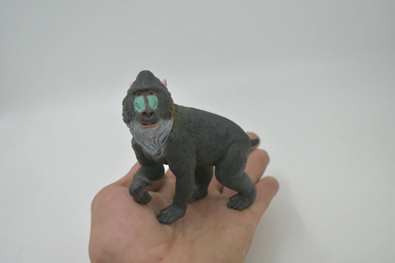 Mandrill Baboon, Very Nice Design, Hand Painted, Rubber Animal, Educational, Diorama Model, Realistic Figure, Figurine, Replica, Toy, Kids, Gift, 3 Inches. F579 B121