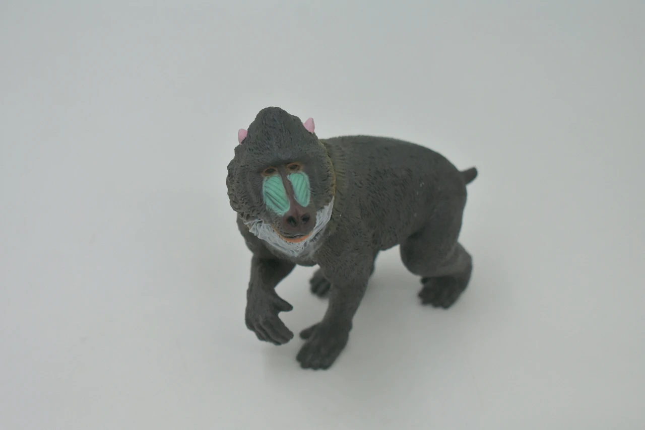 Mandrill Baboon, Very Nice Design, Hand Painted, Rubber Animal, Educational, Diorama Model, Realistic Figure, Figurine, Replica, Toy, Kids, Gift,    3 Inches.   F579 B121    