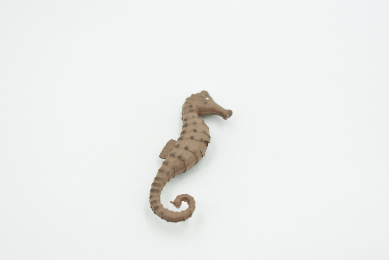 Seahorse, Brown, Hand Painted, Related to Pipefish, and Seadragons, Realistic Rubber, Educational, Figure, Lifelike, Replica, Gift,     2 1/2"     F585 B34