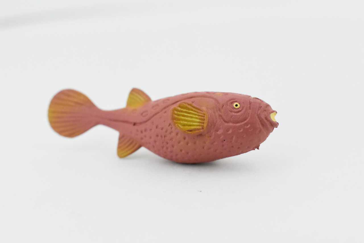 Pufferfish, Blowfish, Saltwater Fish, Rubber, Realistic, Figure, Model, Replica, Toy, Kids, Educational, Gift,    2 1/2" 