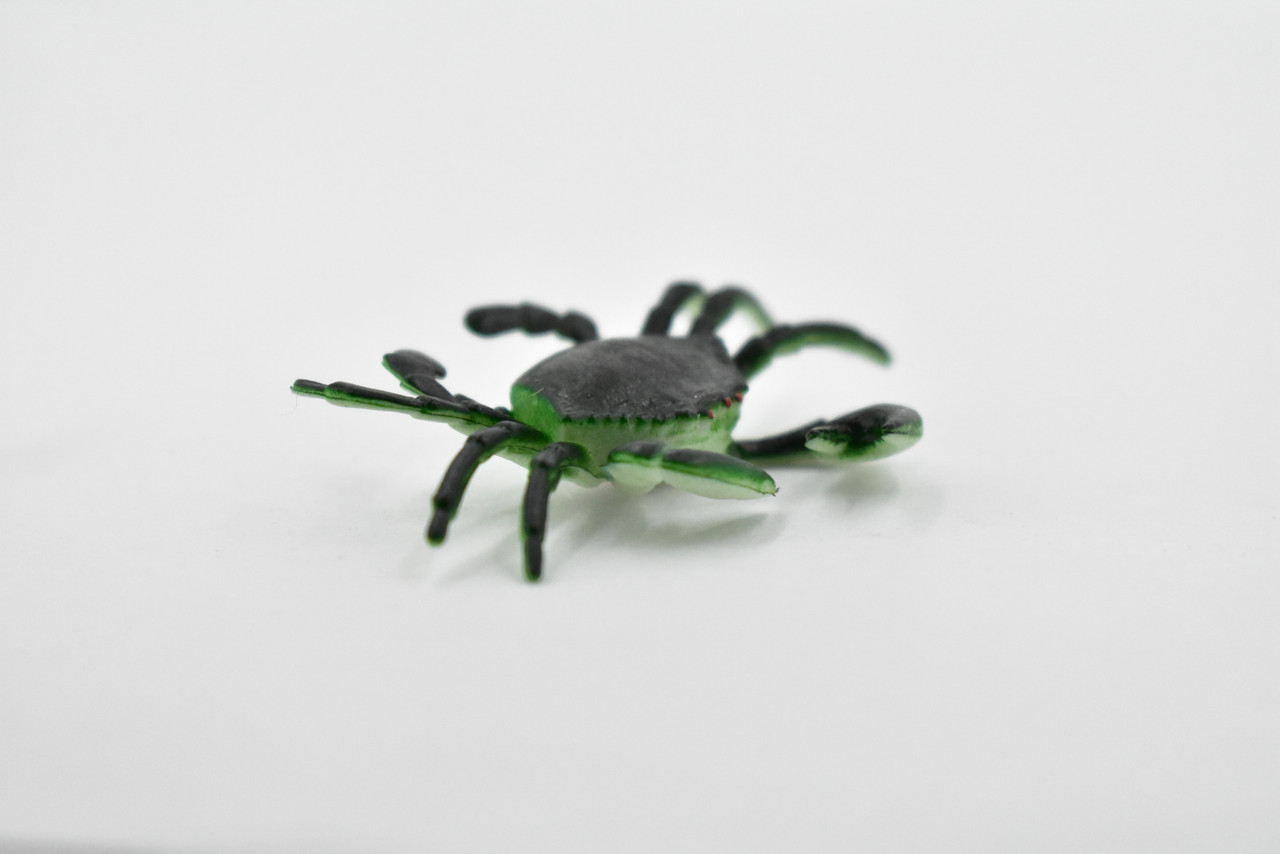Mud Crab, Saltwater, Rock Crab, Rubber, Crustacean Design, Educational, Hand Painted, Figure, Lifelike, Model, Replica, Gift      2 1/2"       F589 B34