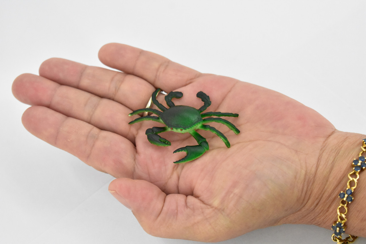 Mud Crab, Saltwater, Rock Crab, Rubber, Crustacean Design, Educational, Hand Painted, Figure, Lifelike, Model, Replica, Gift      2 1/2"     